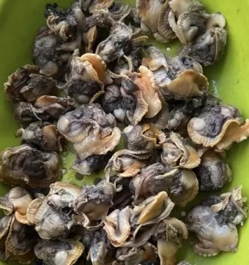 Kerang kupas